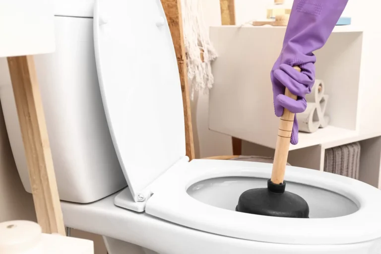 Toilettes bouchées / Trois solutions efficaces pour résoudre le problème à domicile